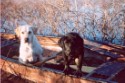 Ai & Roo hunting 04.jpg